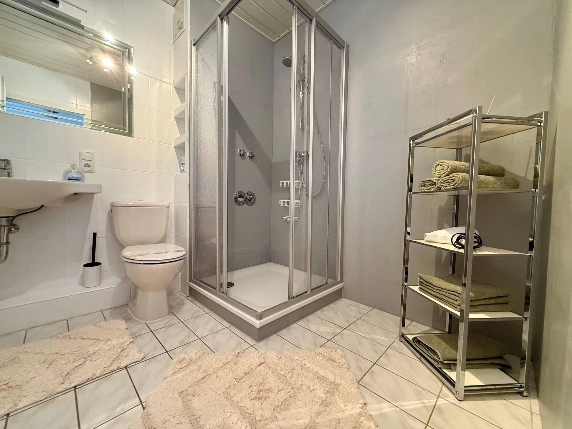 Bathroom with shower, toilet and shelf