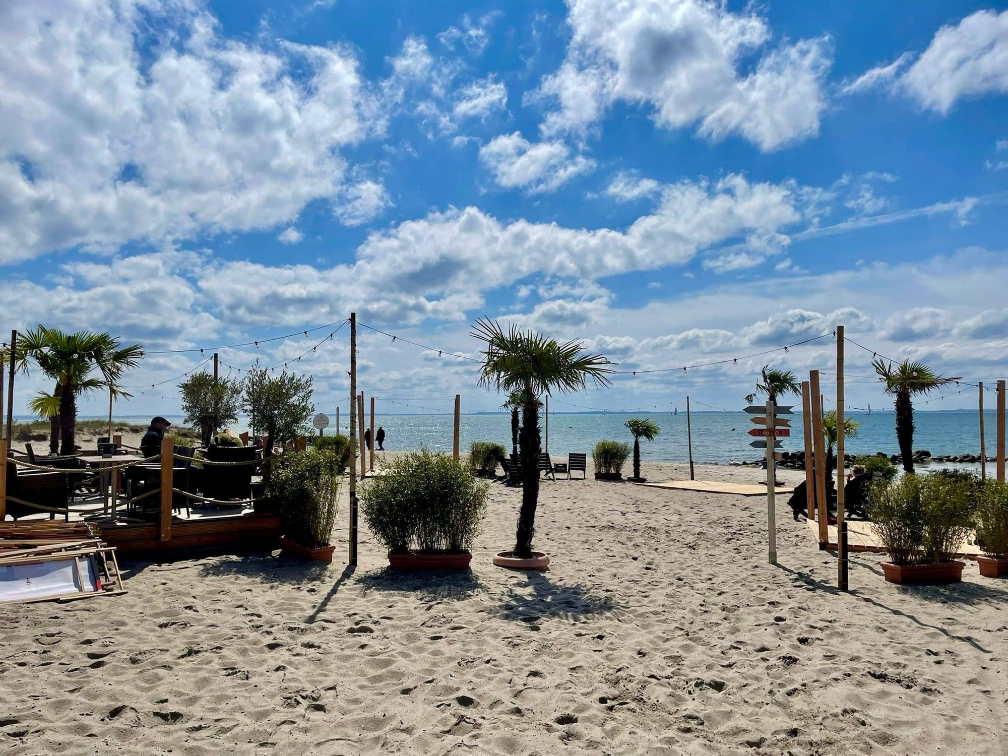 Baltic Sea beach in Grömitz with palm trees and signpost
