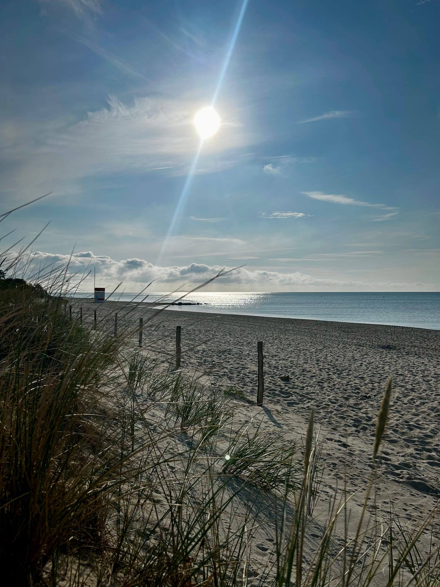 Quiet stretch of beach with dunes
