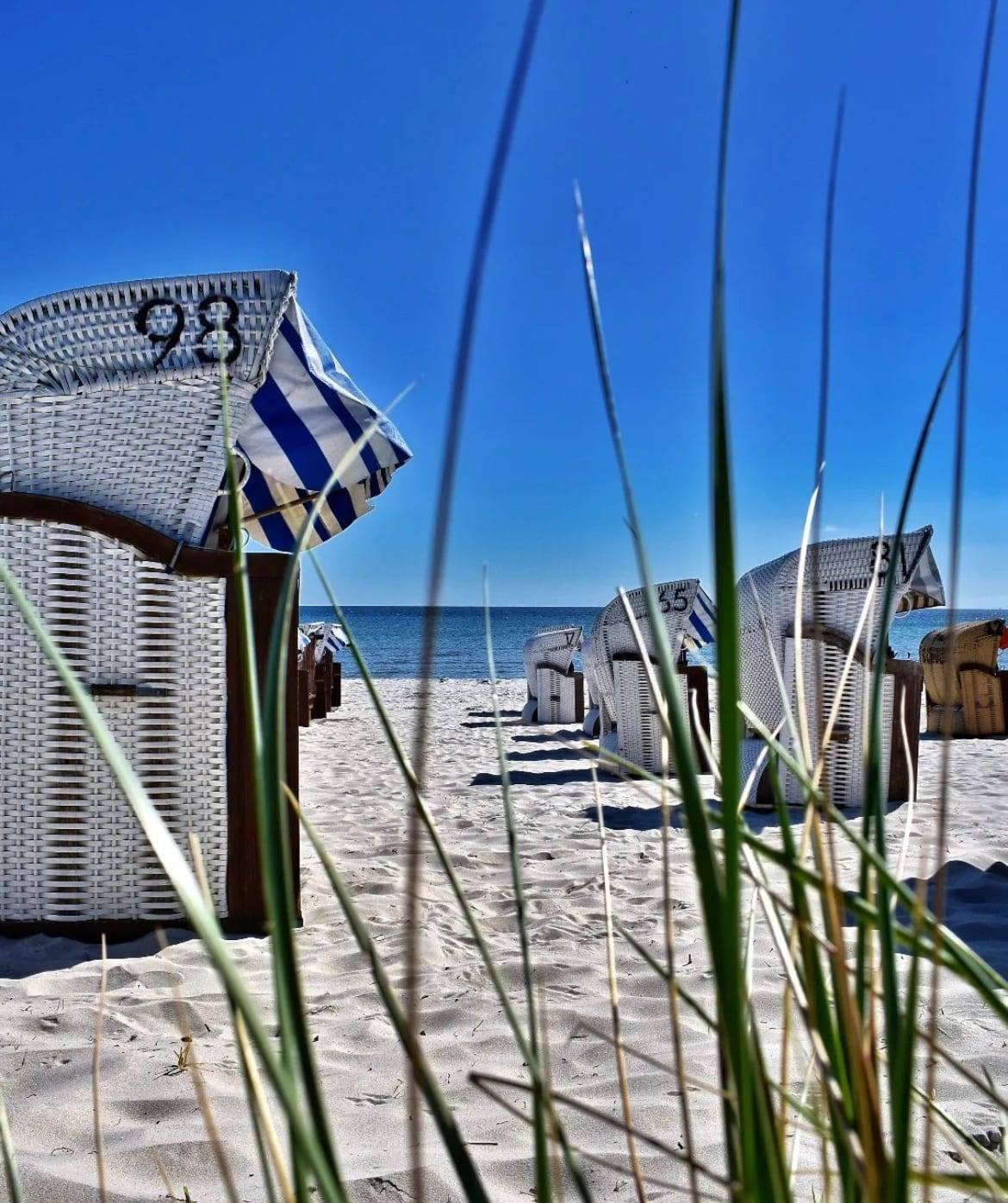 Strandkörbe am Ostseestrand